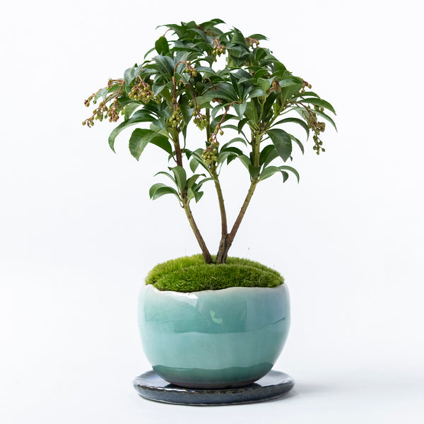 20251112__72-16_42ef5583-ee6a-