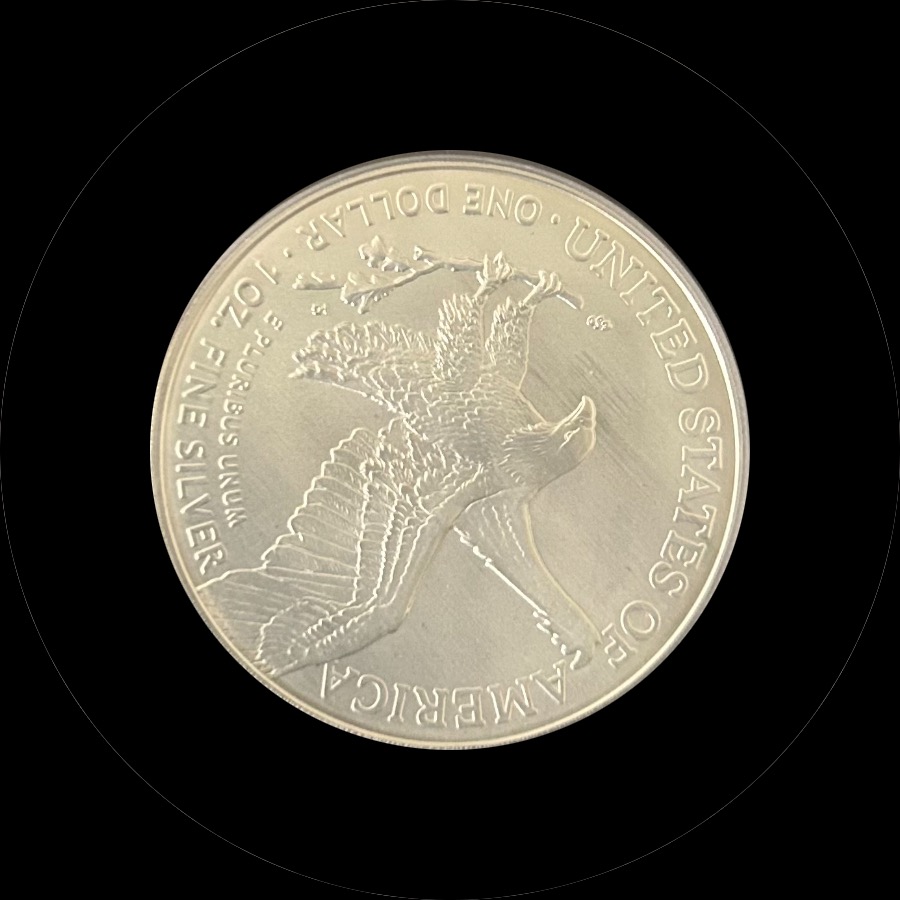 アメリカ イーグル銀貨 2021 【PCGS MS70】 世界コイン