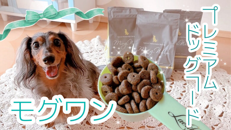 モグワン プレミアムドッグフード 3袋セット チキン＆サーモン mogwan