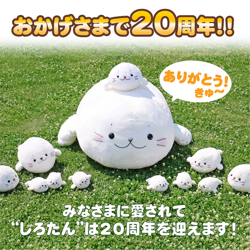 ✮希少✮しろたん✮なりきりぬいぐるみ2個セット 希少✮しろたん✮