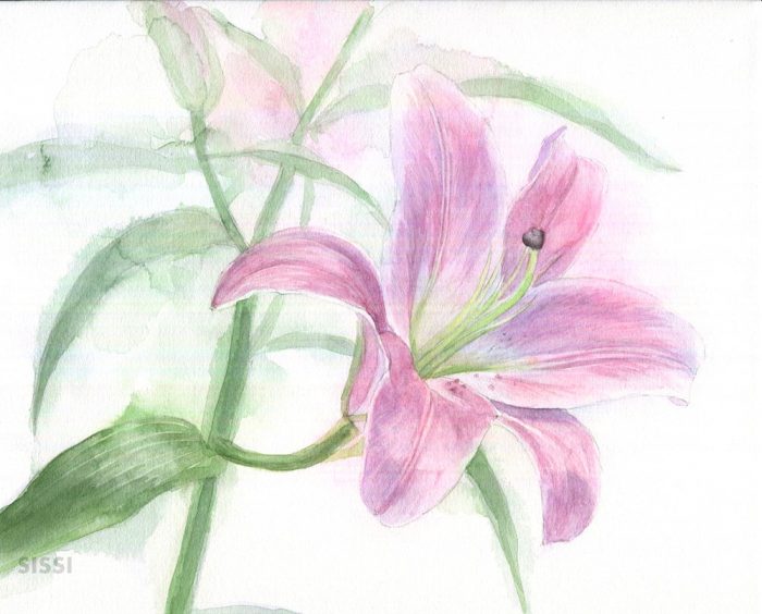 ユリの花 水彩画 シルバーフレーム ユリの花 水彩画 シルバーフレーム