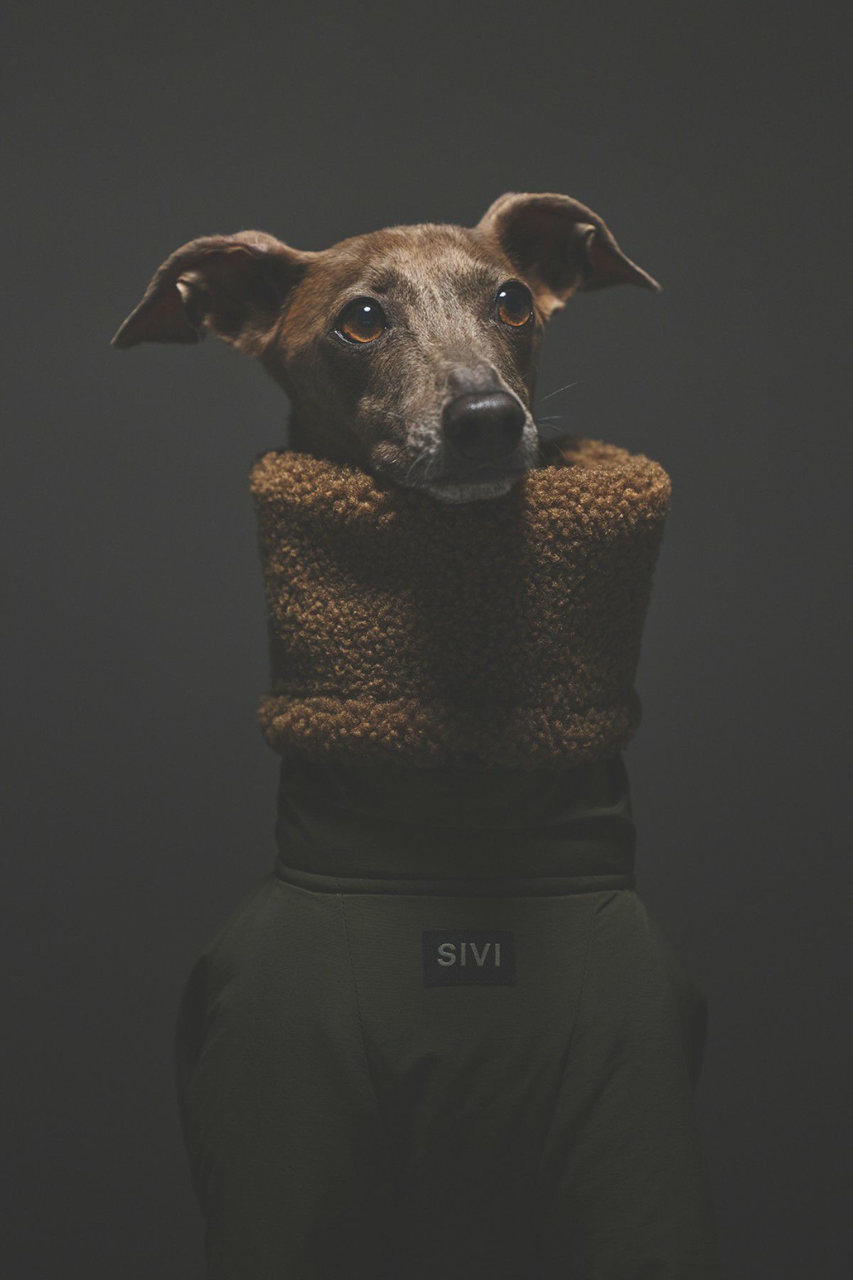 SIVI ウィンタースーツ｜撥水・防水 | SIVI｜イタグレ 服・ウィペット