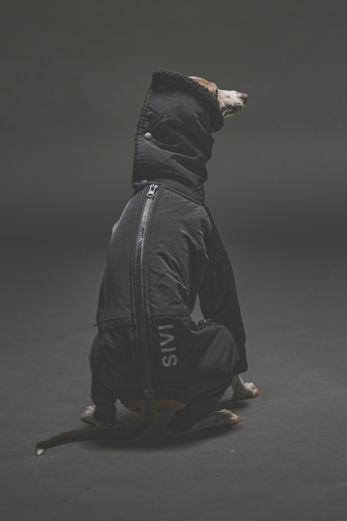 SIVI ウィンタースーツ｜撥水・防水 | SIVI｜イタグレ 服・ウィペット