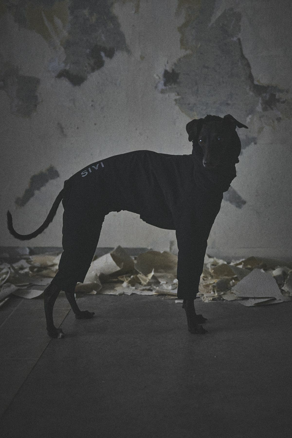 SIVI ウィンタースーツ｜撥水・防水 | SIVI｜イタグレ 服・ウィペット