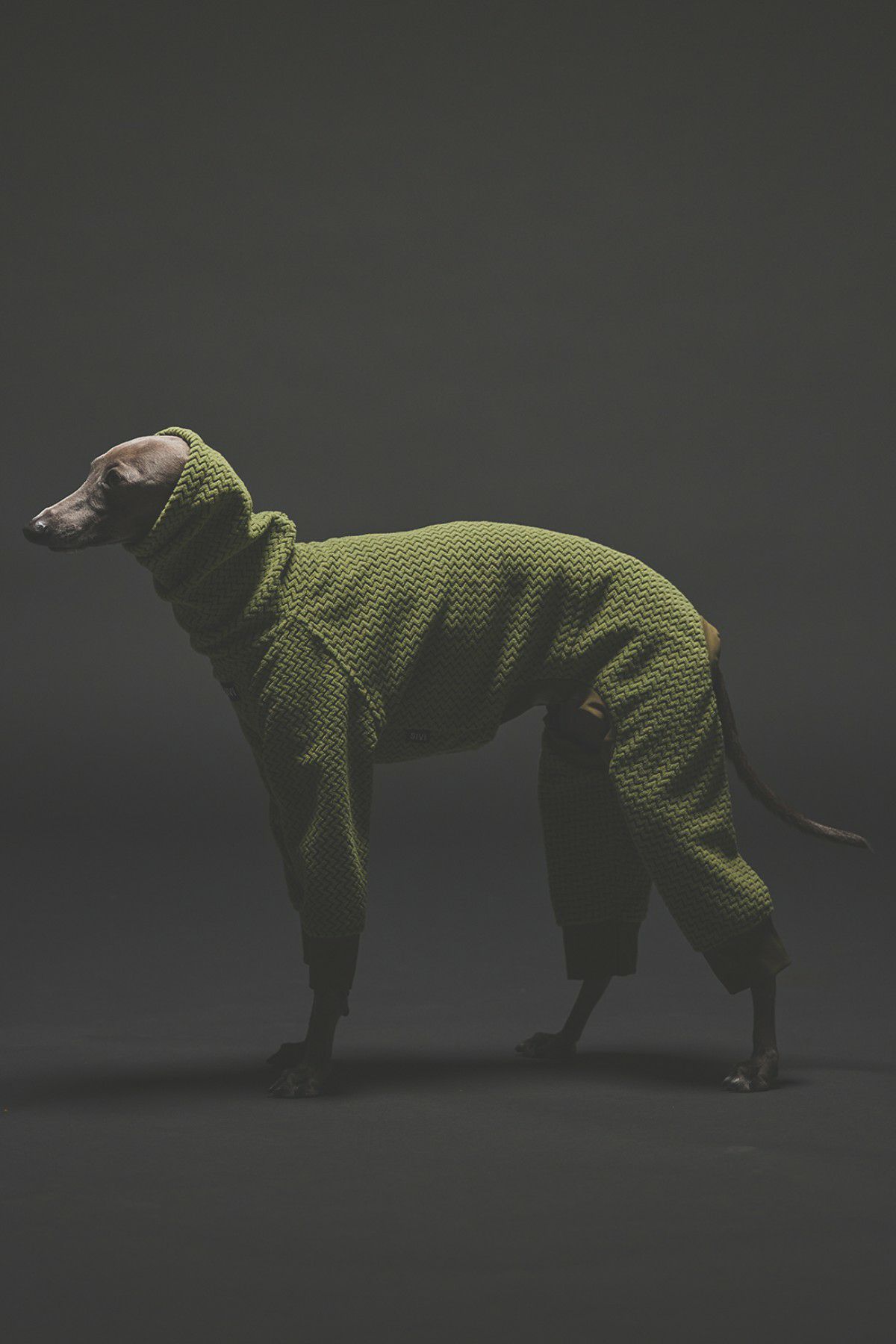 SIVI テクニカルフリースカバーオール | SIVI｜イタグレ 服