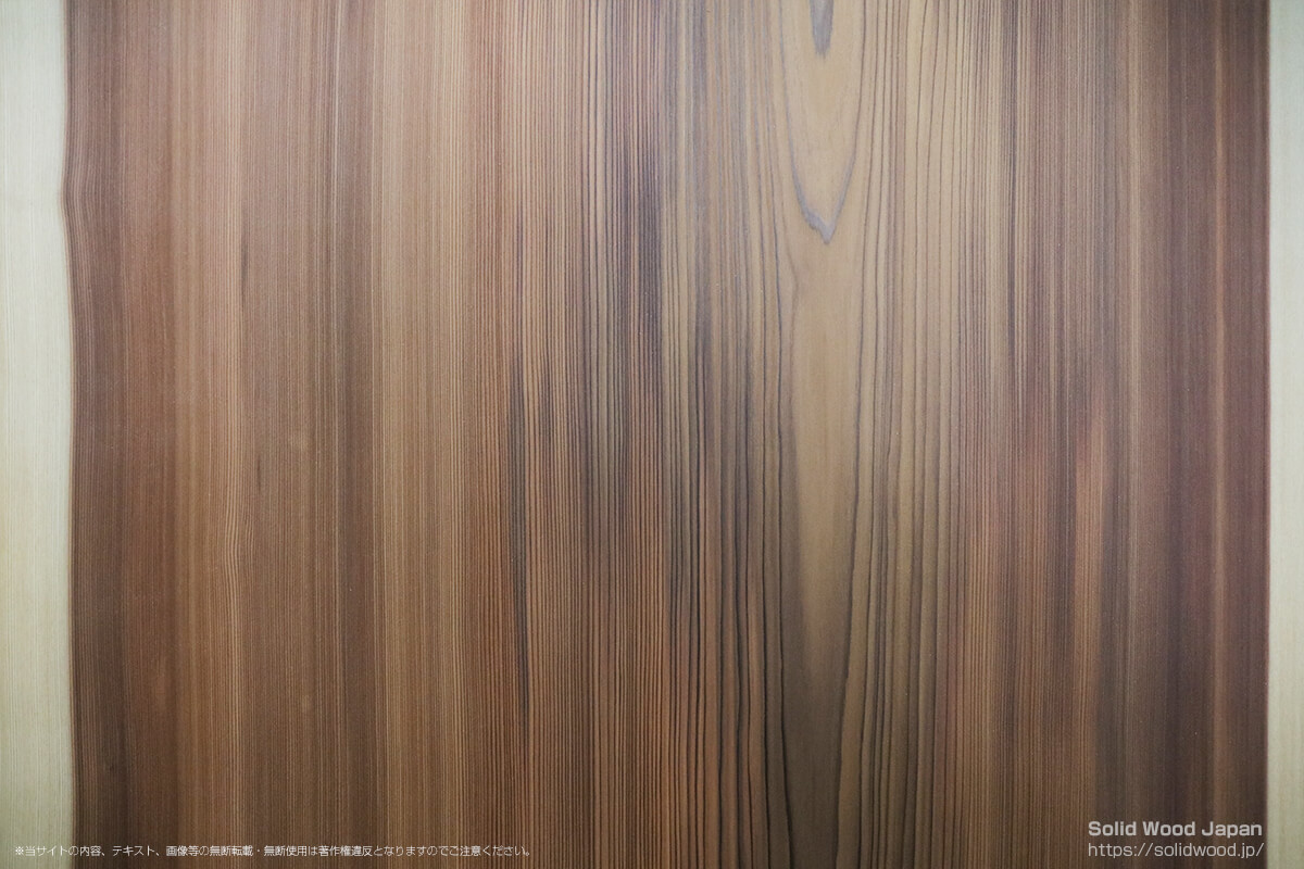 ヤクスギ（屋久杉）の一枚板 | 無垢材とは | 一枚板比較