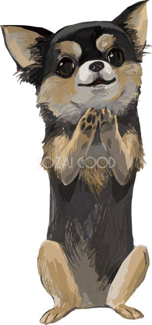 特別価格☆【原画】『ウミウシに乗って』（風景画 空の絵 チワワ 黒猫