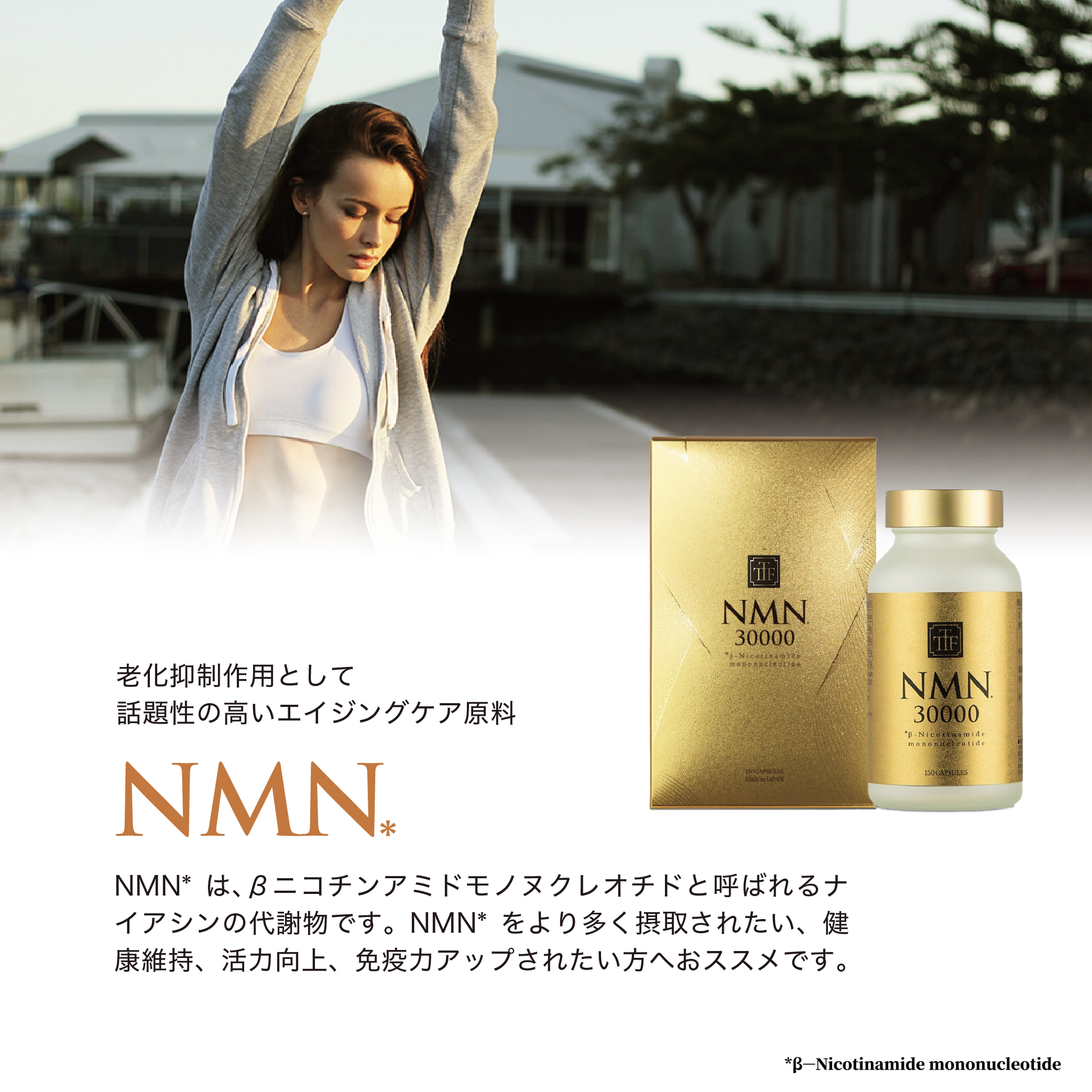 カルチュラル・ミスエデュケーション : 「文化遺産の伝達」とは何な