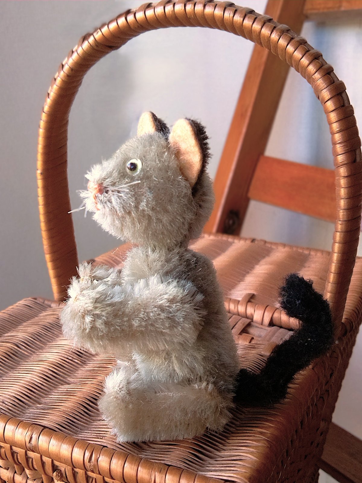 ガラス目の灰色猫さん 耳黒 シュコー グレーキャット ノアの箱舟シリーズ