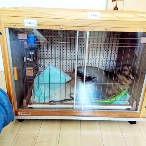 ペット可のアパートに防音ケージカバーをお届けした。 - 犬小屋製作