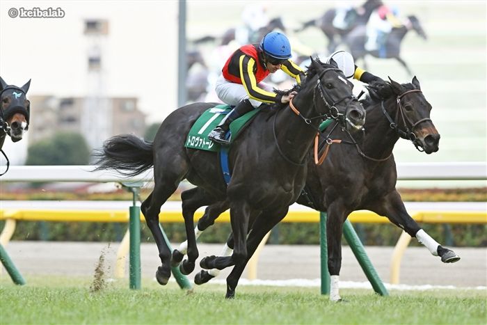 有馬記念の単勝・複勝・枠連オッズ【1994年12月25日中山9R】 | 競馬ラボ