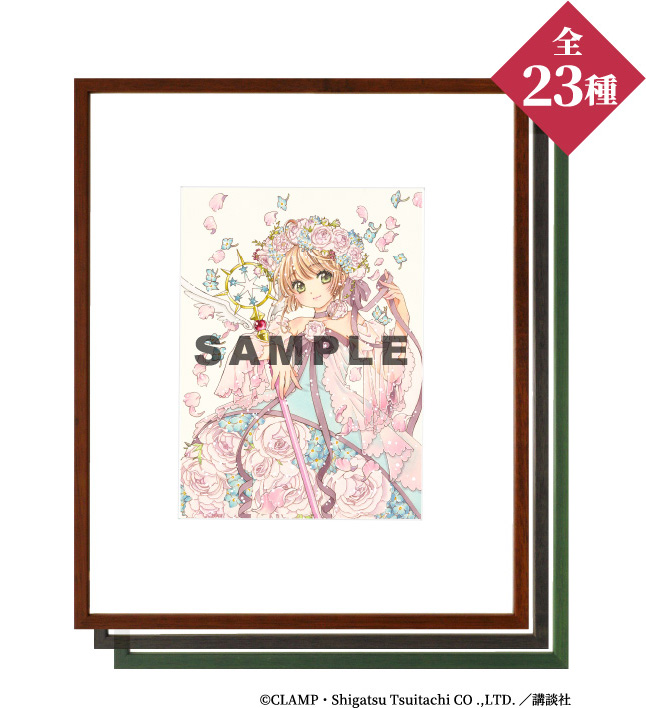 複製原画 CLAMP展 描き下ろし 阿修羅＆さくら CLAMP展」聖伝からCCさくら