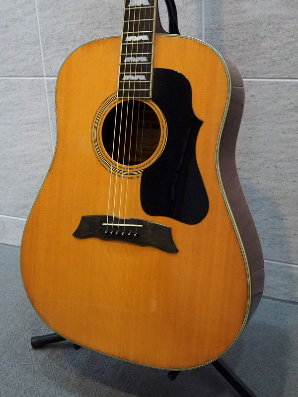 MORRIS MG-50 / J-50スタイル 表単板 日本製 ハードケース付属 MORRIS