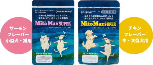 マイトマックス・スーパー おなかで生き抜く強い力を | KS Online 共立