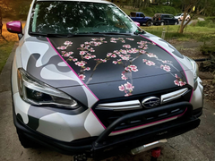 Individual Sakura Branch Replacement – Spinnywhoosh Graphics