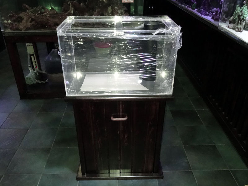 スプラッシュオリジナルオーバーフロー水槽セット（W650×D350×H400