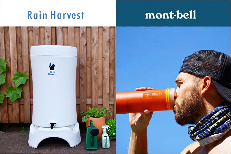 000000000013-01.jpg?size=l&w=