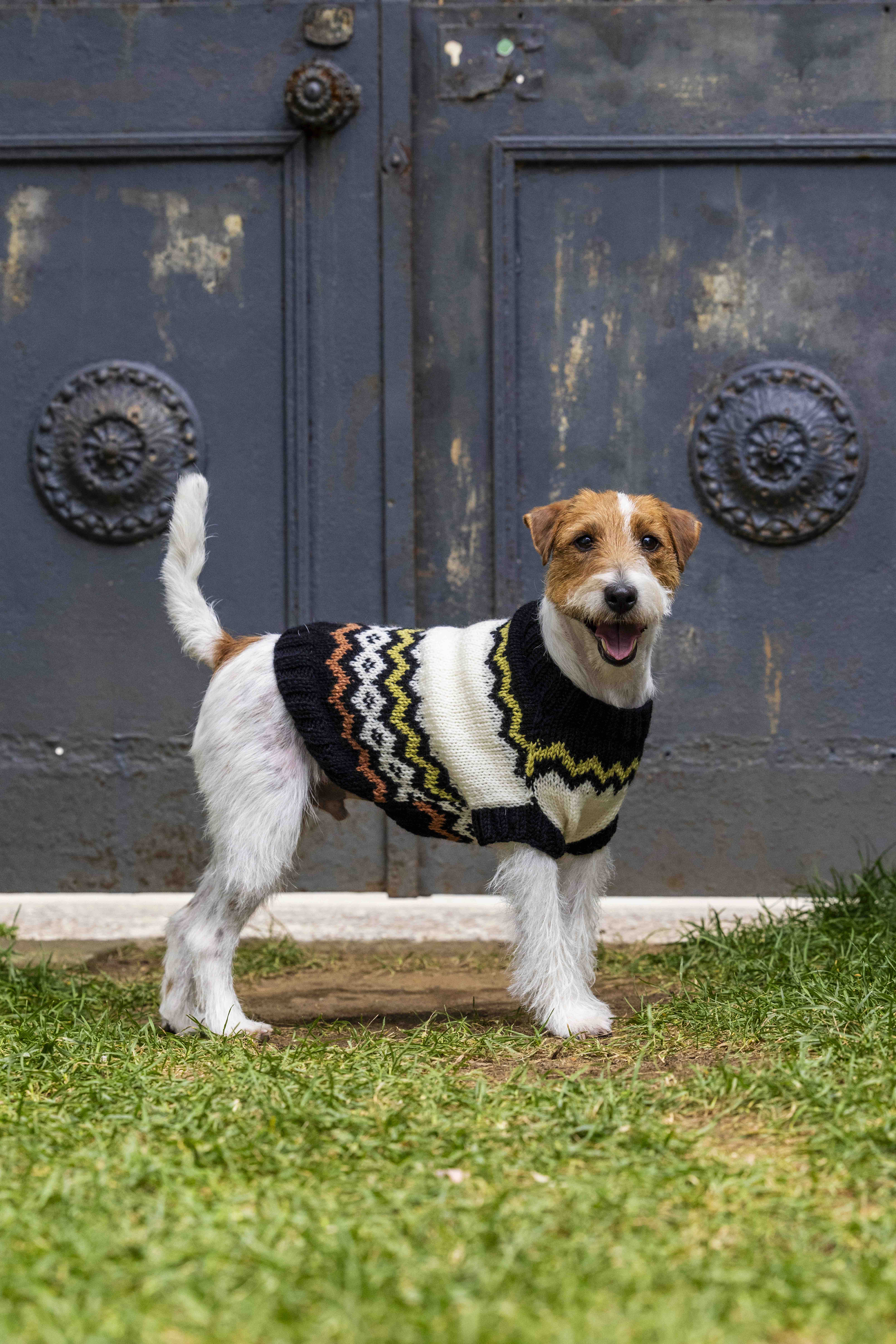 10月29日発売『小型犬と中型犬が着る 犬のあったか手編み服