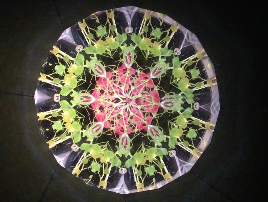 オトナの手作り万華鏡 オイルワンドスコープ - 商品 | 日本ヴォーグ社