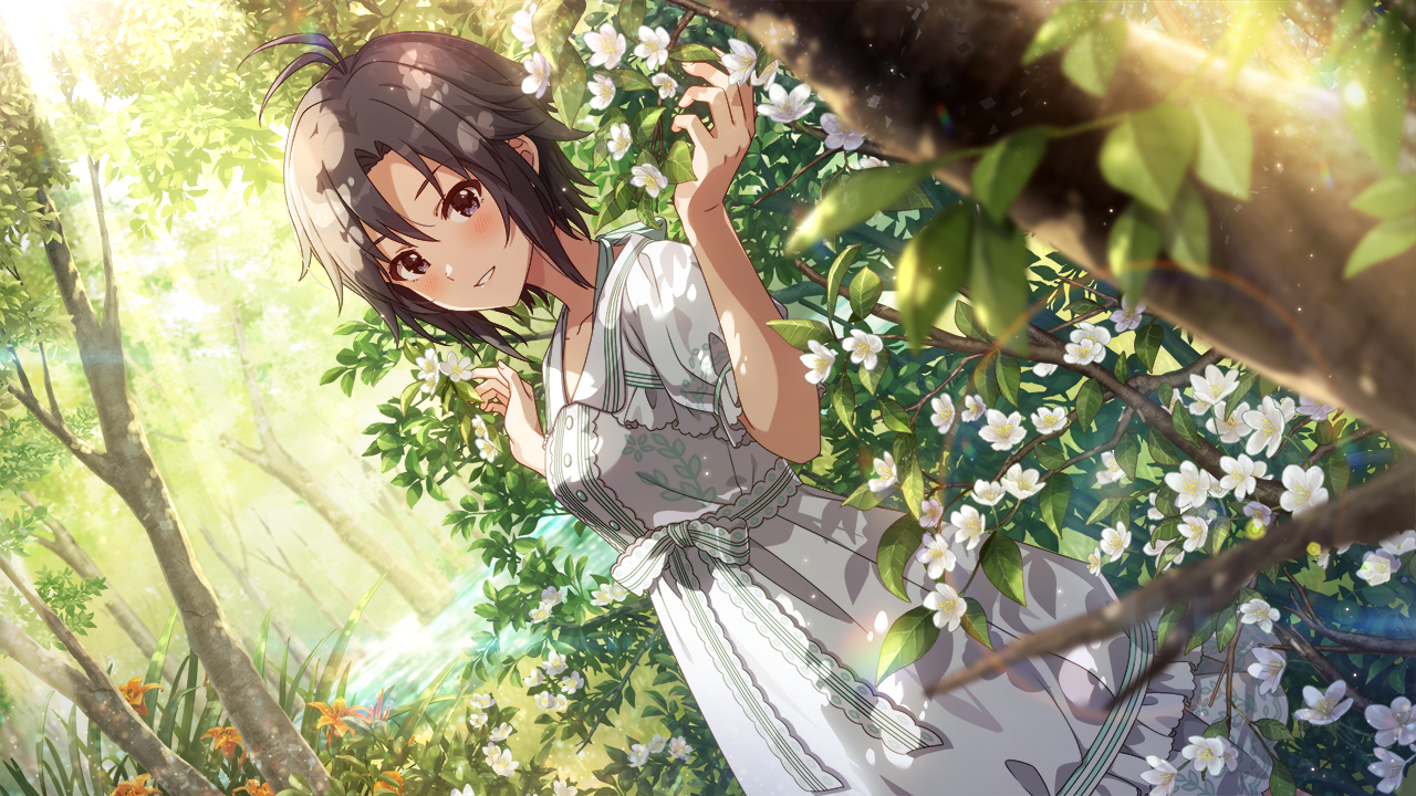 ヴァイスシュヴァルツ 自転車 菊地真 sp ヴァイスシュヴァルツ 自転車