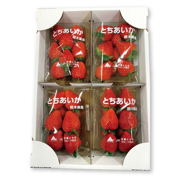栃木県産 JAうつのみや いちご(とちあいか)260g 4パックセット【お届け