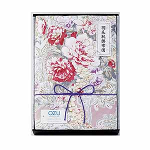 今治タオル 極選 魔法の糸今治製パイル綿毛布2P [AI-30027]【年間