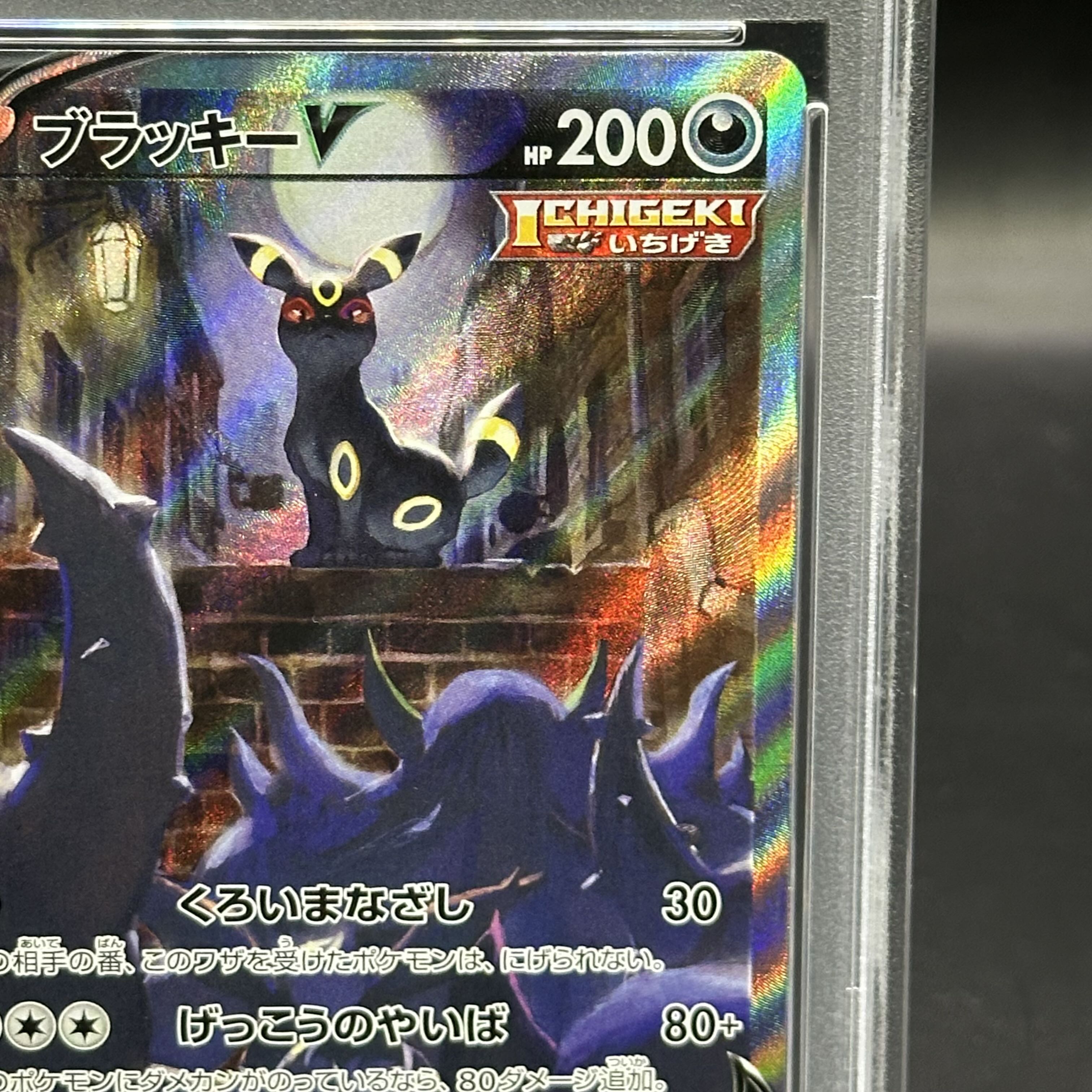 ブラッキーV sa psa10 本日中5万2000円可 ブラッキーV sa psa10 本日中