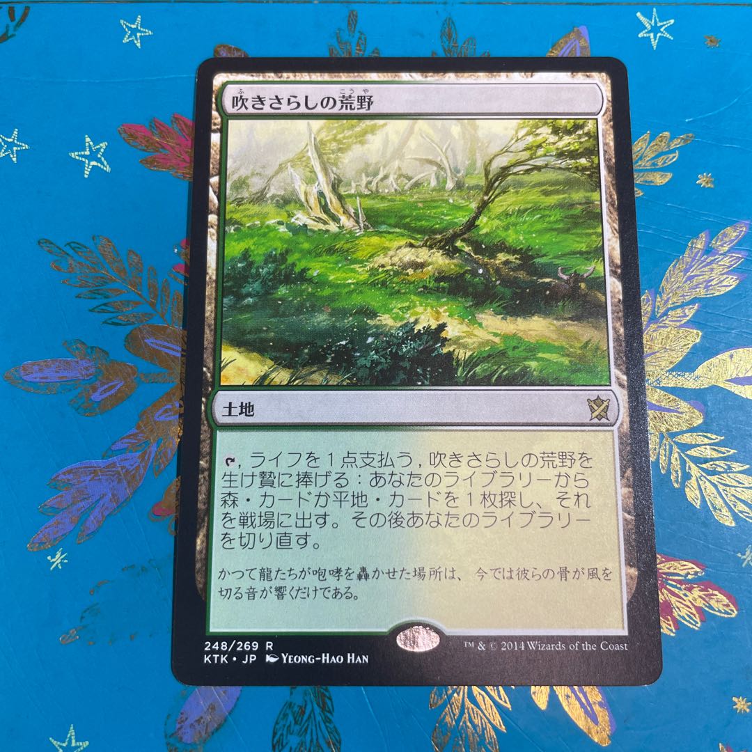 吹きさらしの荒野 オンスロート 中国語4枚セット 吹きさらしの荒野