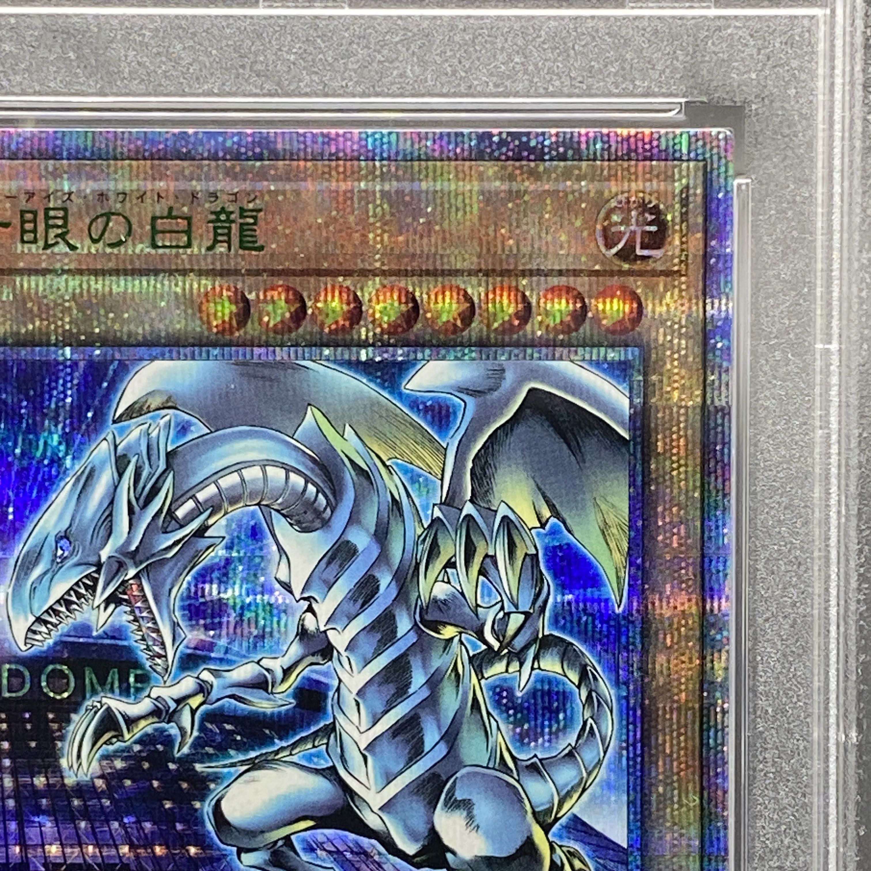 遊戯王 東京ドーム25th 決闘者伝説 ブルーアイズホワイトドラゴン 青眼