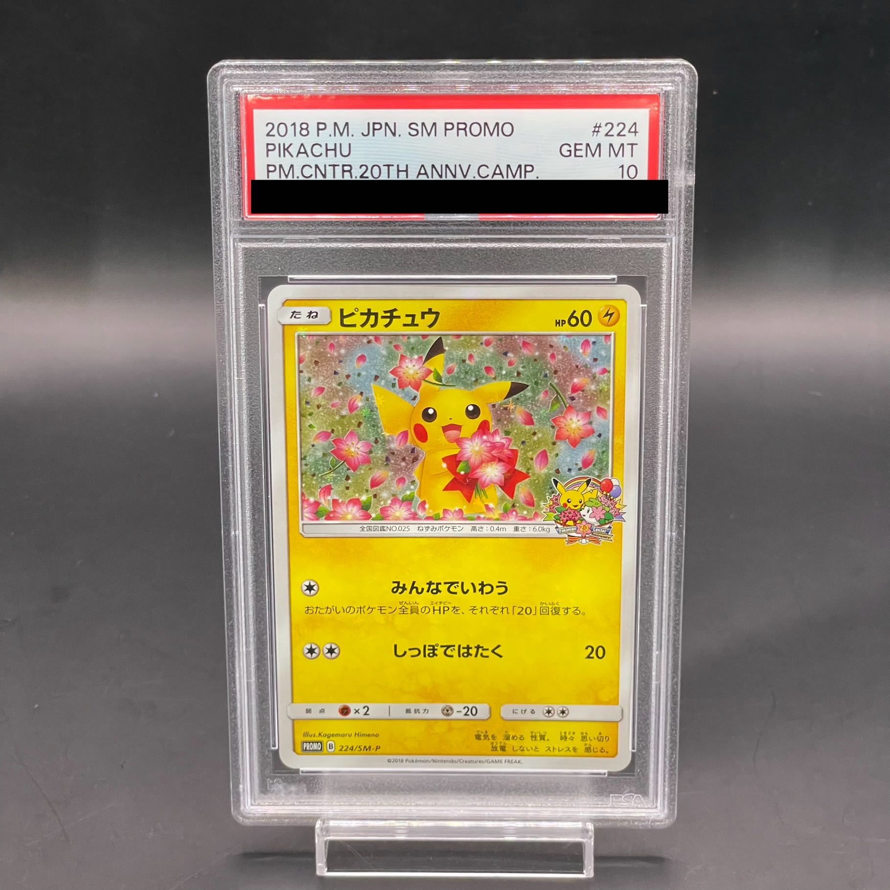 PSA10 末尾777 2枚セット ピカチュウ PSA10 末尾777 2枚セット