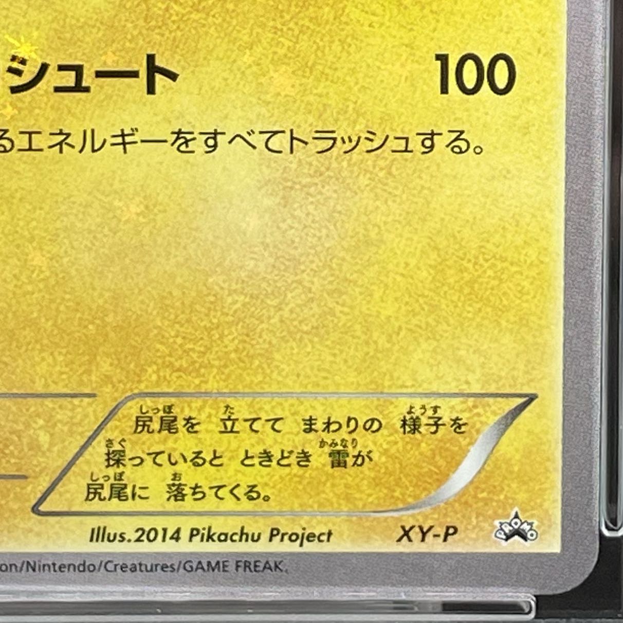 PSA10】ピッチのピカチュウ PROMO XY-P 1枚の通販 土日祝休@magi公式