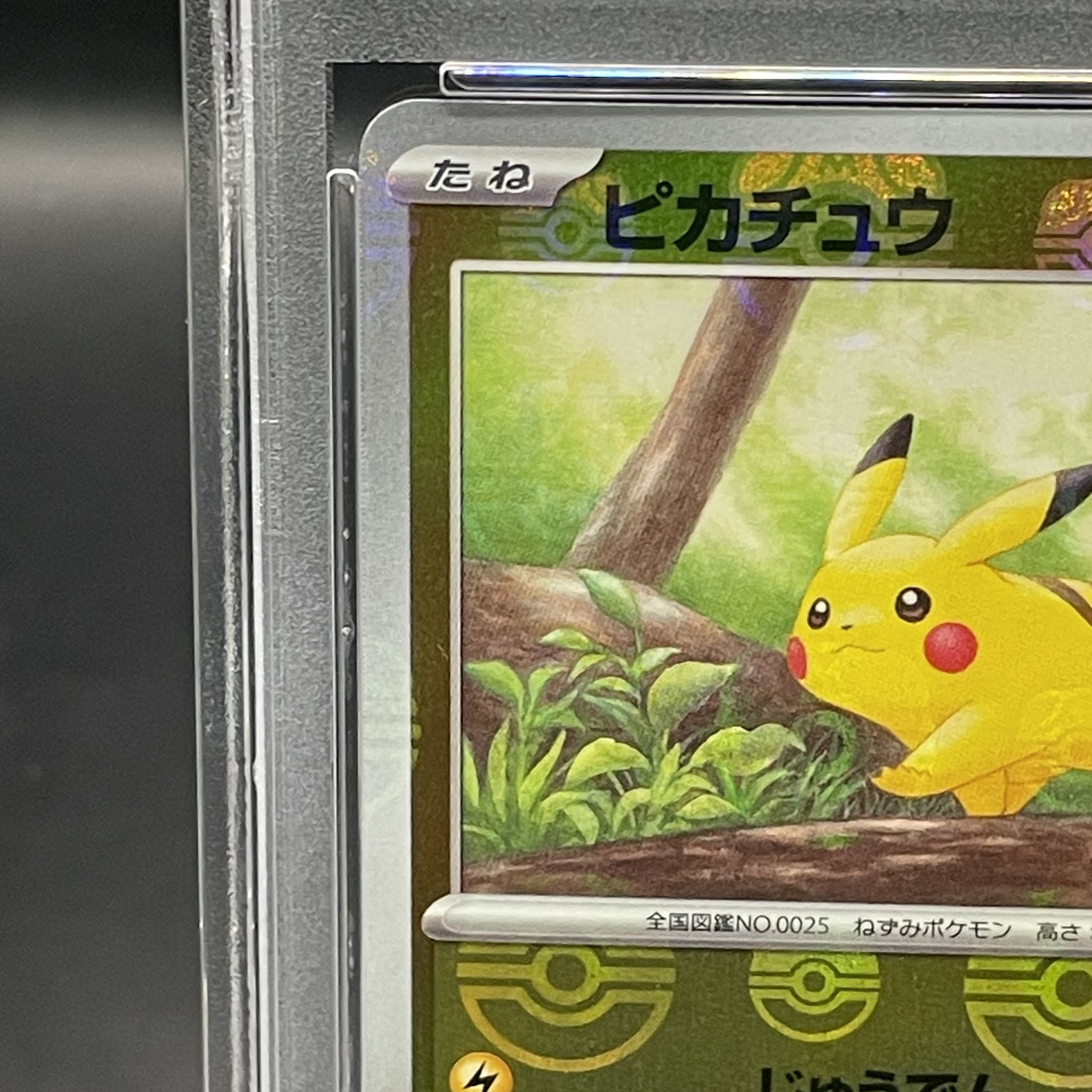 ピカチュウ マスターボールミラー psa10 最安値】ポケモンカード