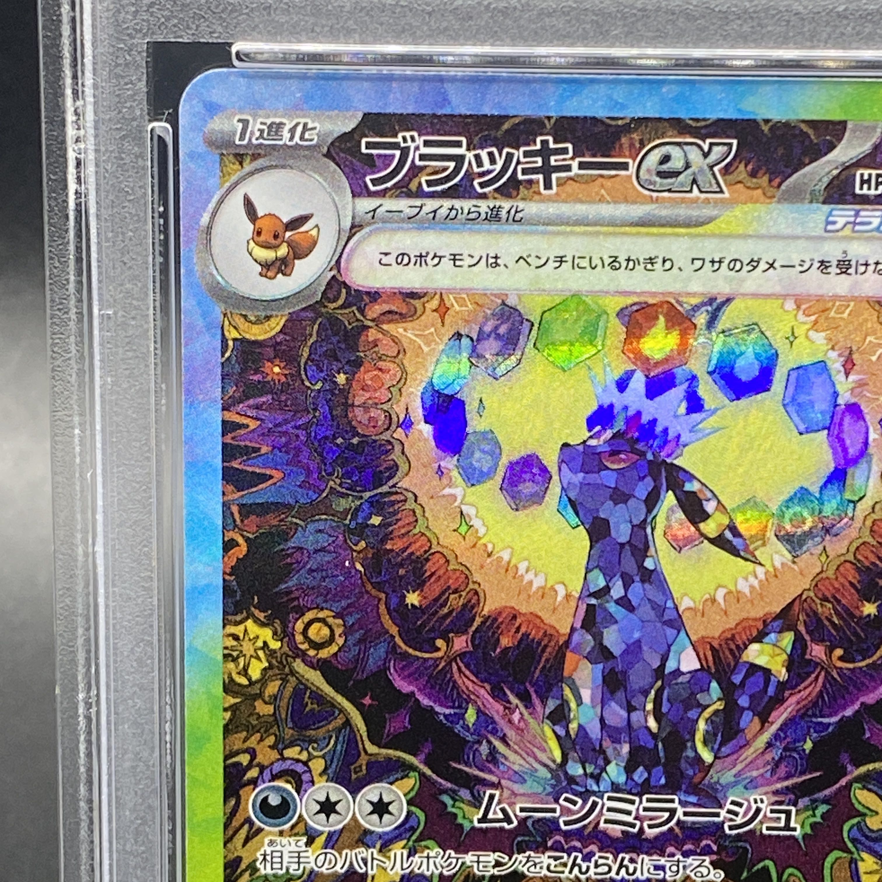 ②ポケモンカードブラッキーex sar PSA10 217/187
