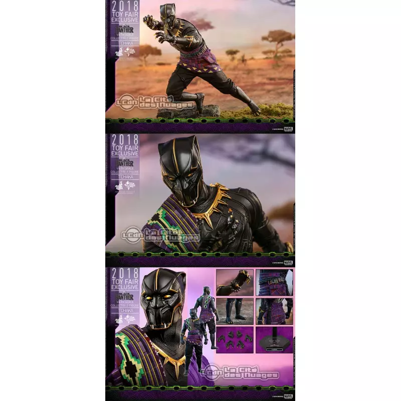 Hot Toys MMS487 Black Panther T'Chaka 1/6 Collectible Figure 31cm