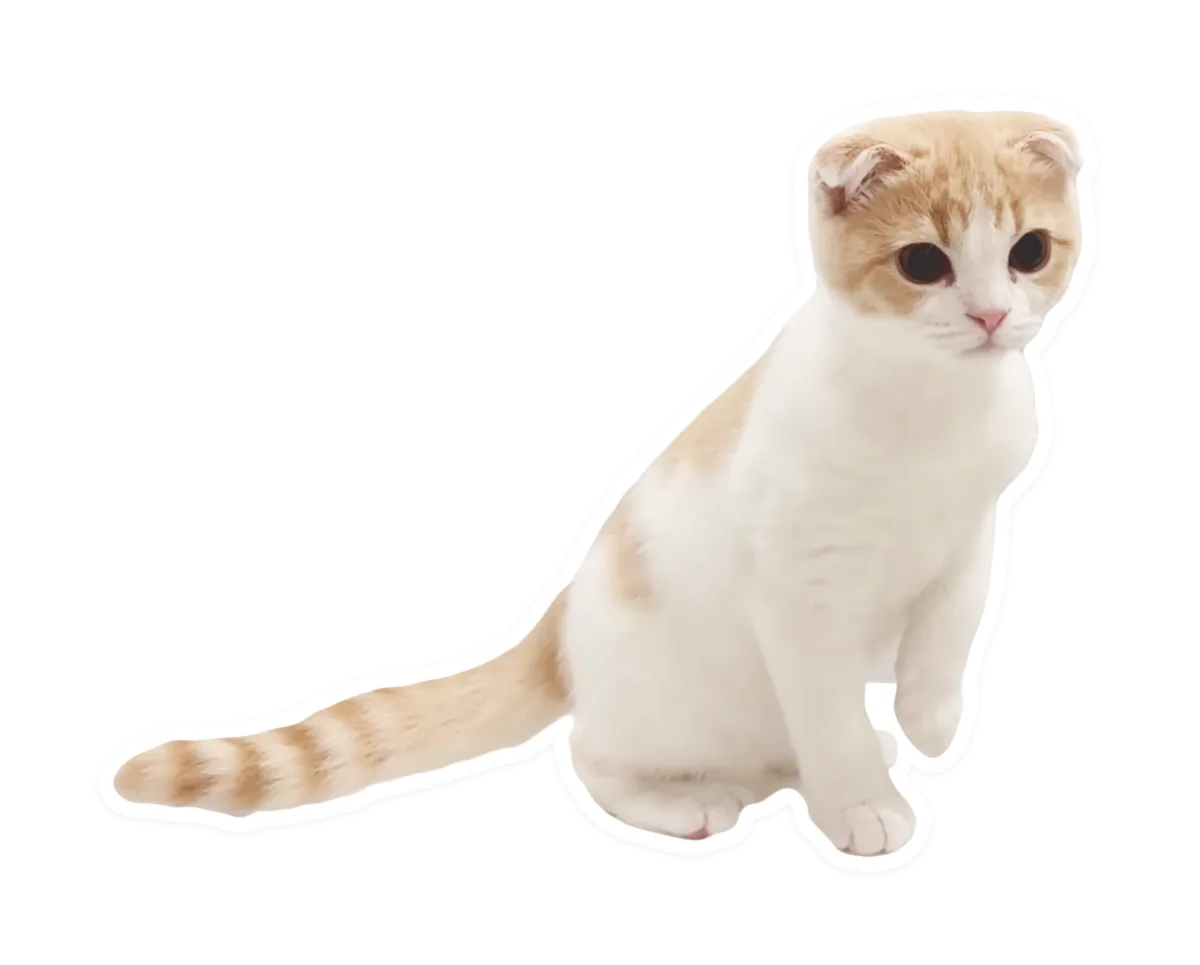 もちまる日記 公式ホームページ