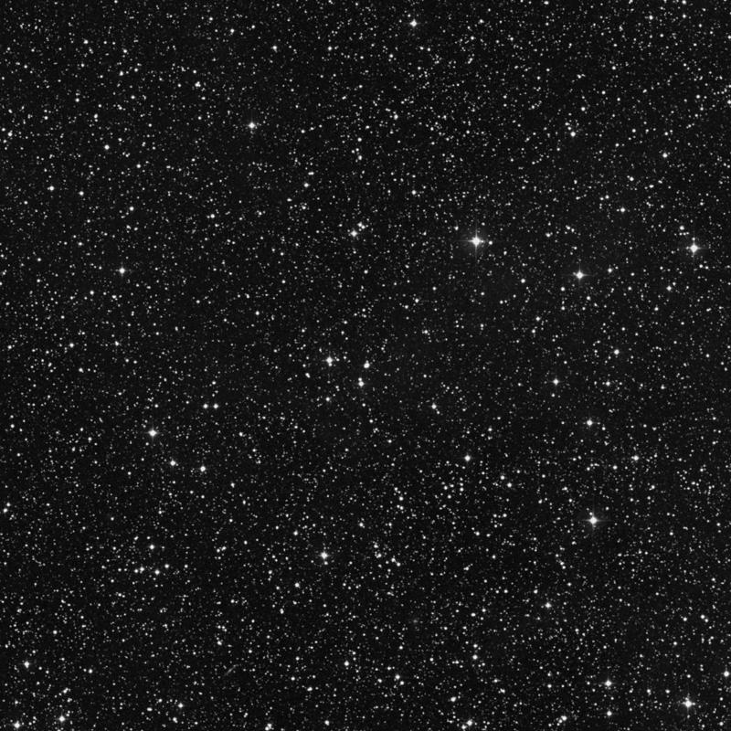 theGazettE BLACKMORAL NILDUE/NILUN 六芒星 theGazettE BLACKMORAL