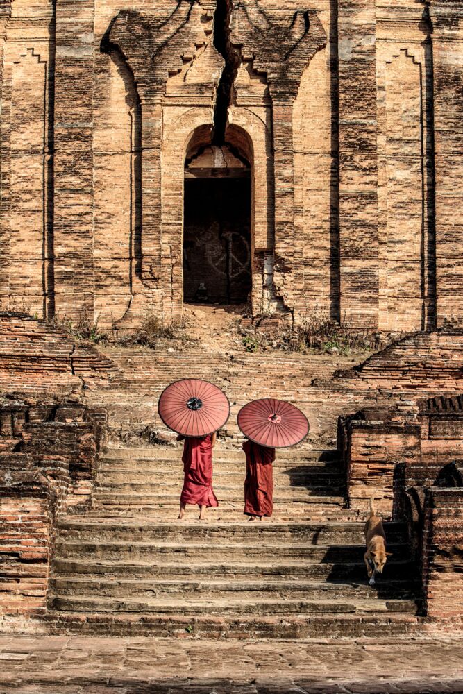 YELLOW KORNER Andy YEUNG サイズ48×29cm