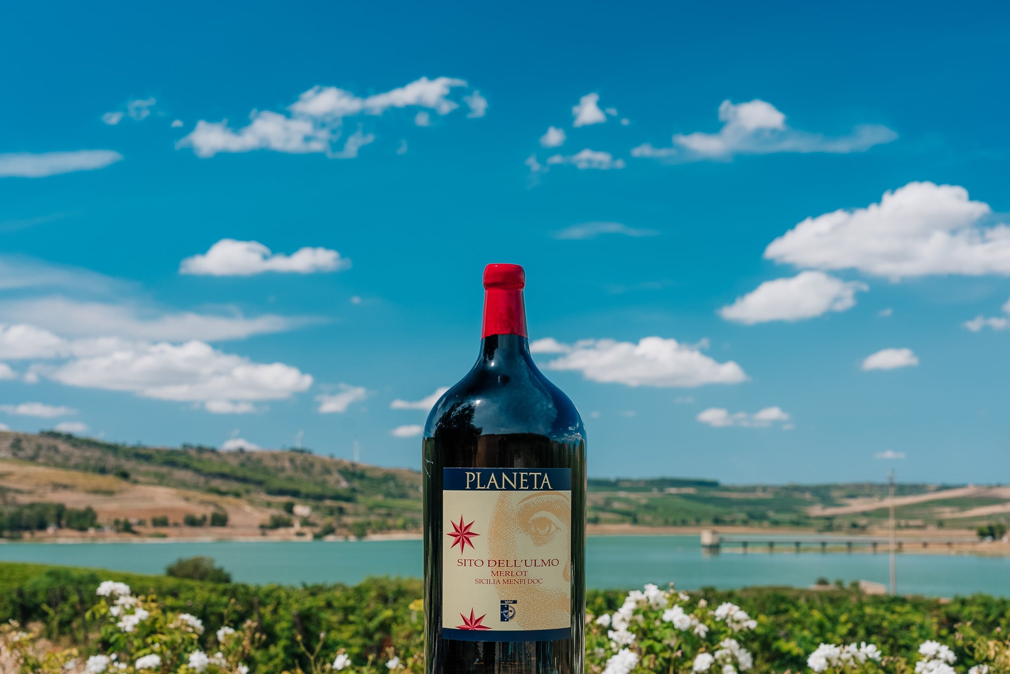 Sito dell'Ulmo Wine - Planeta