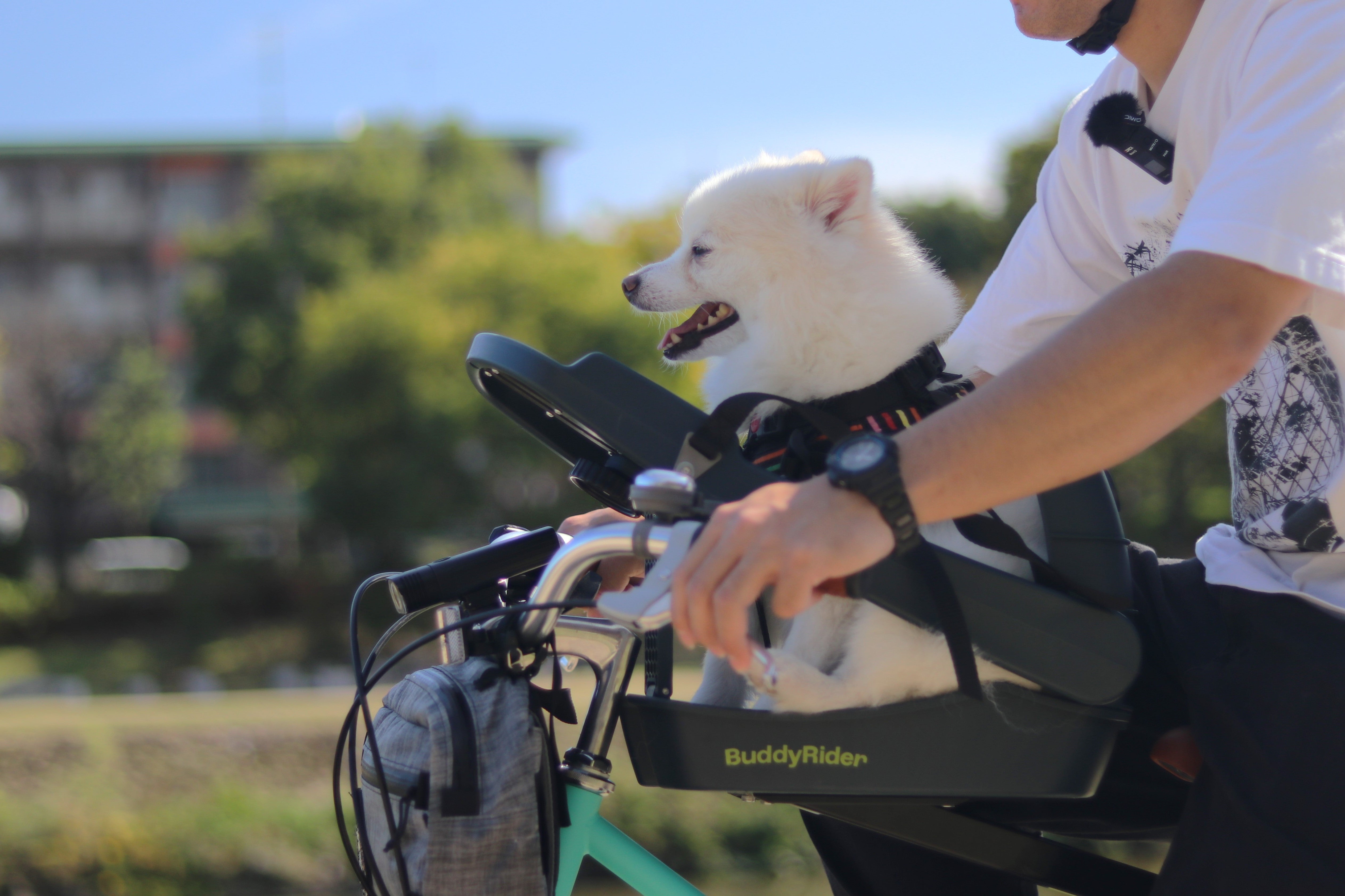 お気に入りの自転車でペットとお出かけ！安定性◎の犬用ペットシート