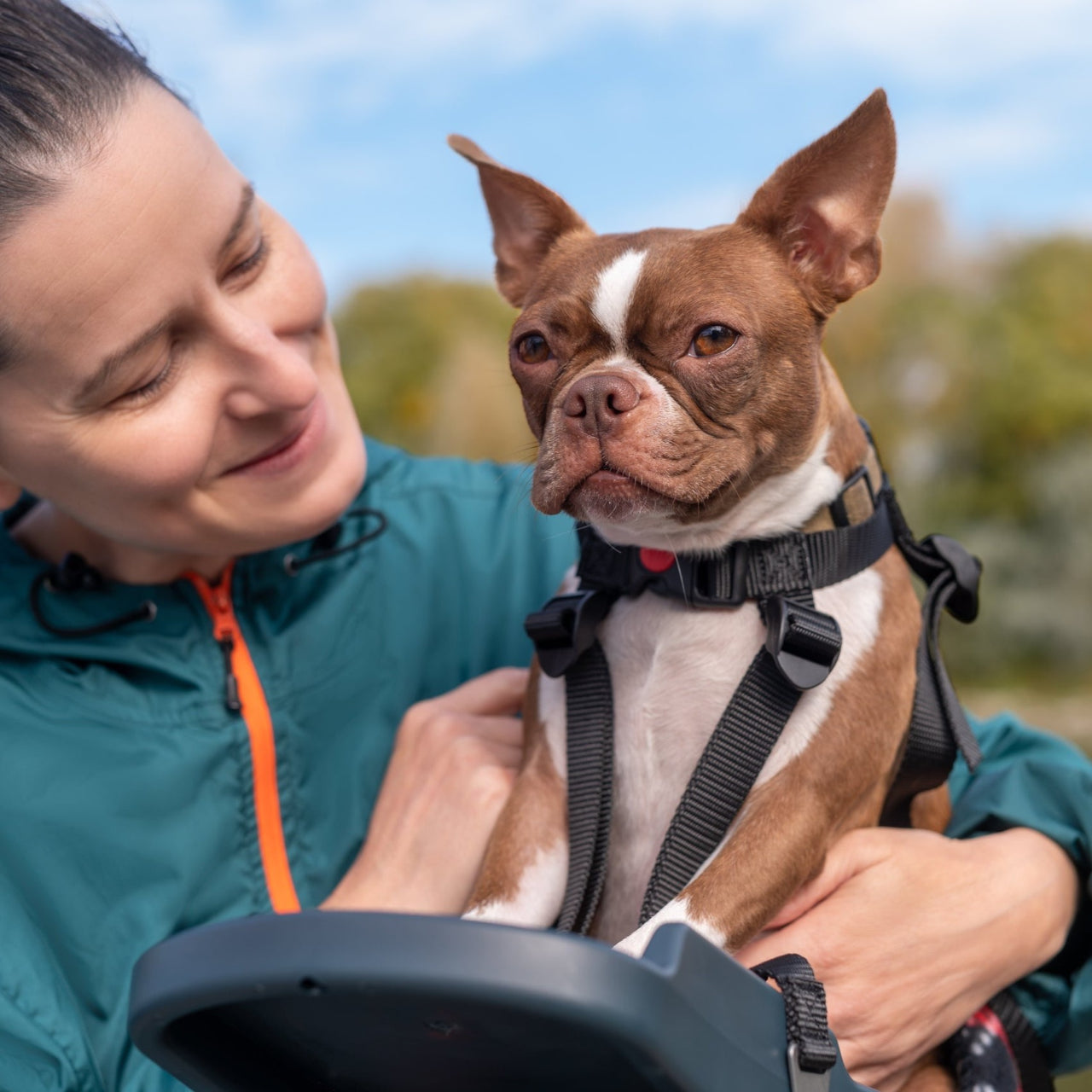 BuddyRider / ペットシート Series2（自転車用） – 京都の自転車屋