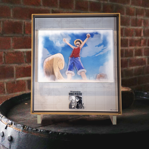ワンピース】25 Eternal Shots プレミアムアクリルアートフレーム 23