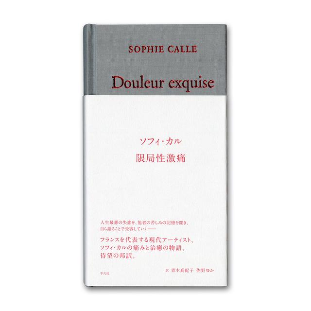 ☆ 【図録 限局性激痛 ソフィ カル SOPHIE CALLE DOULEUR EQUISE 原