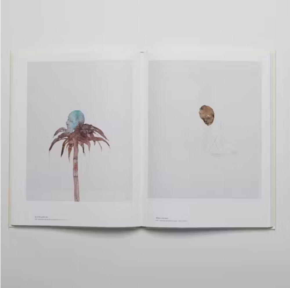 Rikako Kawauchi drawings 2012-2020 川内理香子 -の商品詳細 | 蔦屋