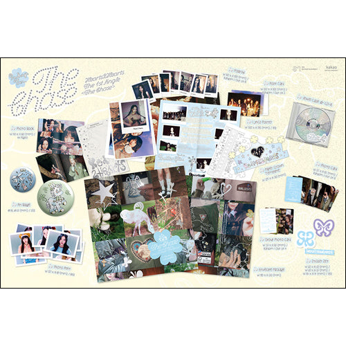 THE BA LUE HEARTS ガーシー チェキ 14枚セット THE BA LUE HEARTS