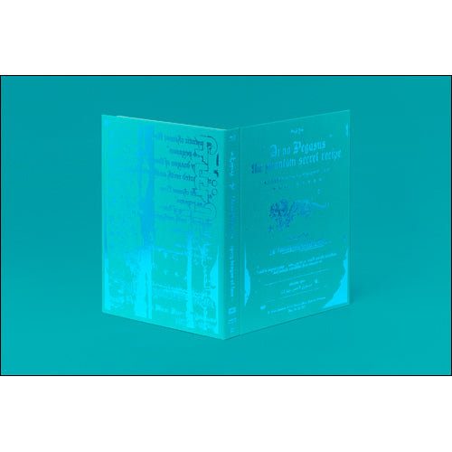 ずっと真夜中でいいのに。 / 本格中華喫茶・愛のペガサス ~羅武の香辛