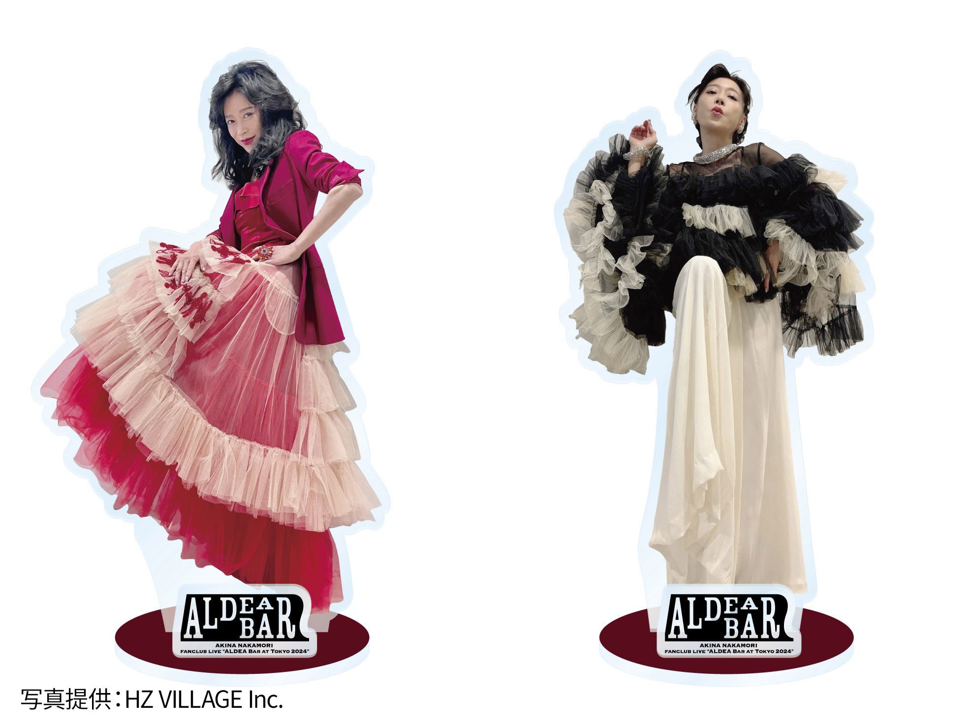 新品未使用品】中森明菜ALDEA限定L版写真付き オリジナルフォト