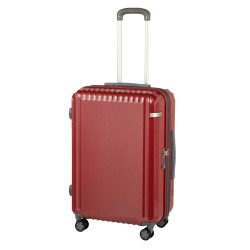 ace.／エース パリセイドZd エキスパンド機能 機内持ち込み 33L/40L