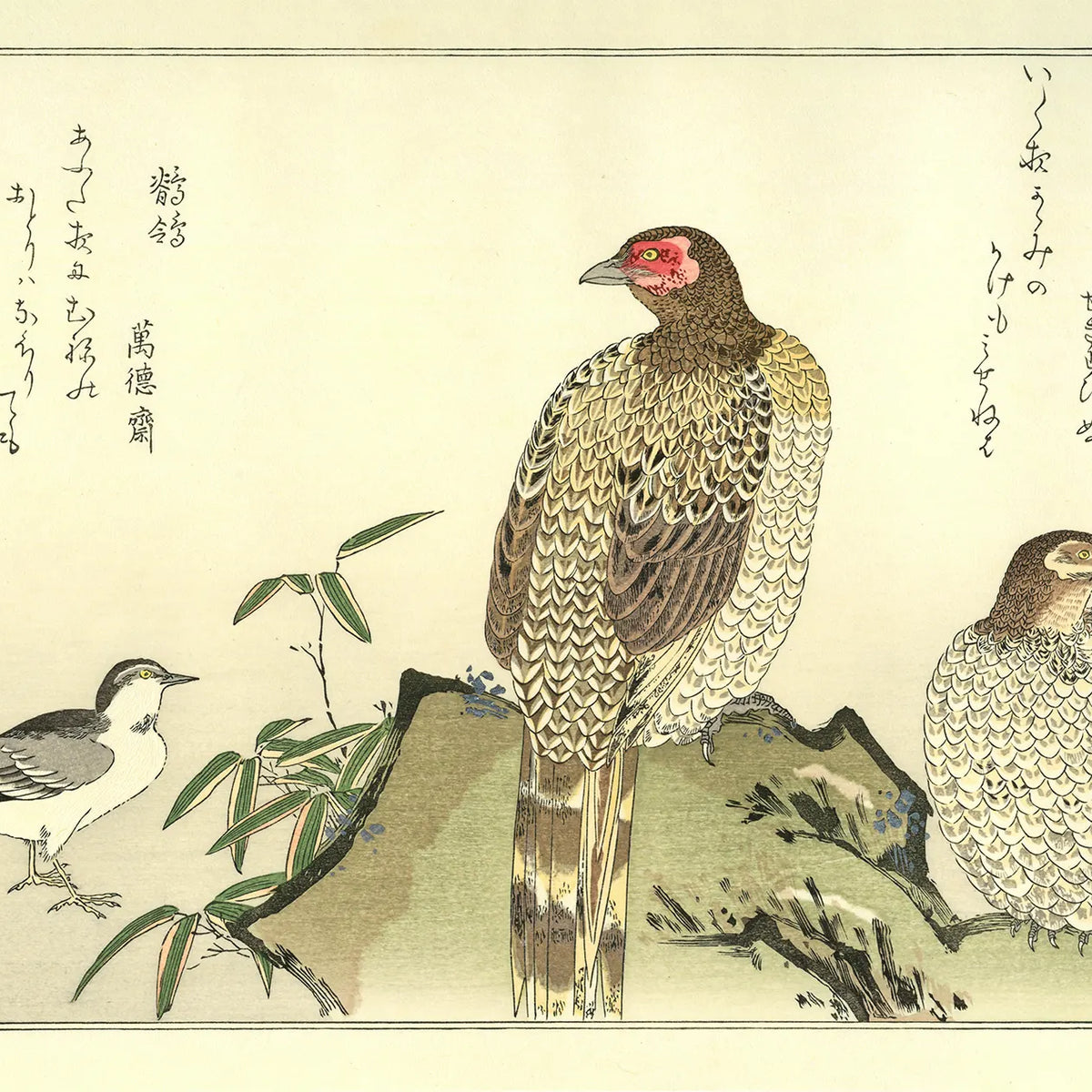 Kitagawa Utamaro（喜多川歌麿） 喜多川歌麿「百千鳥 山鳥に鶺鴒