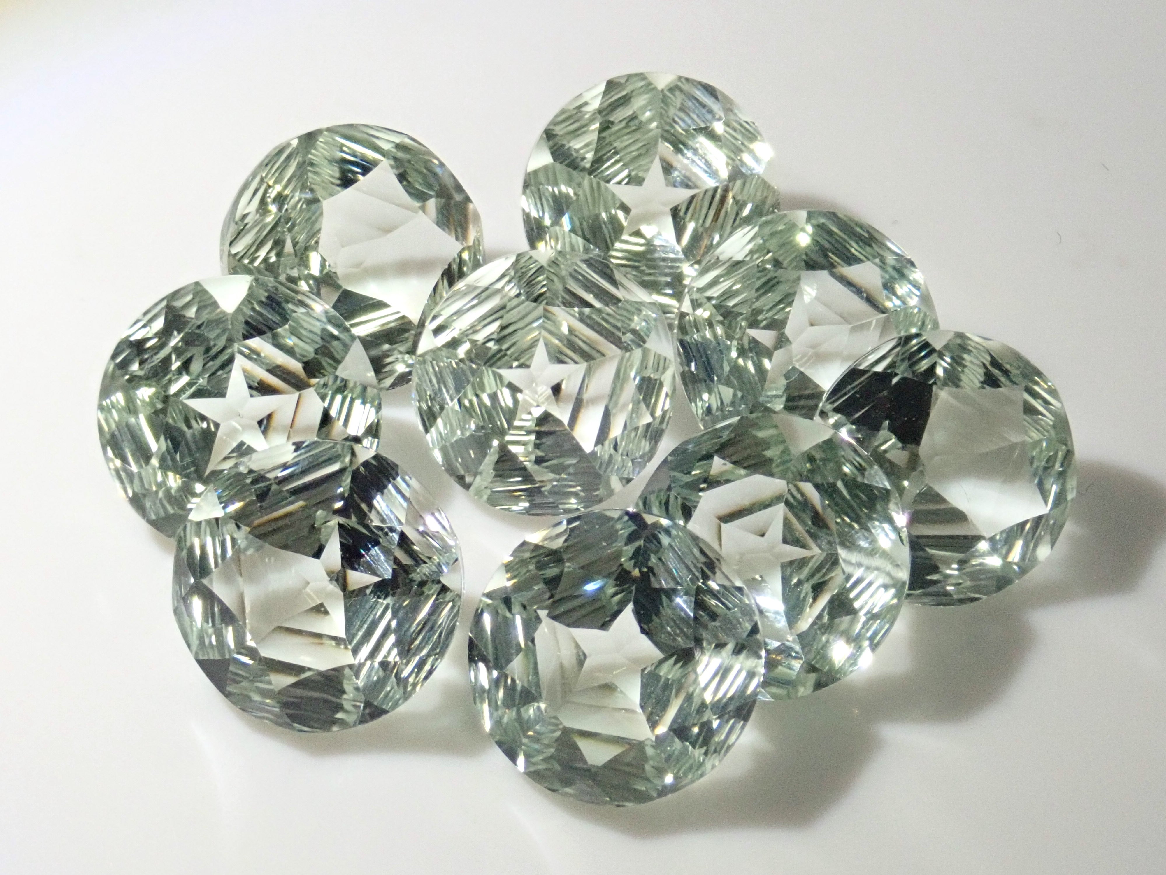 ブラジル産 スペシオーサダイコクコガネ 13-15mm