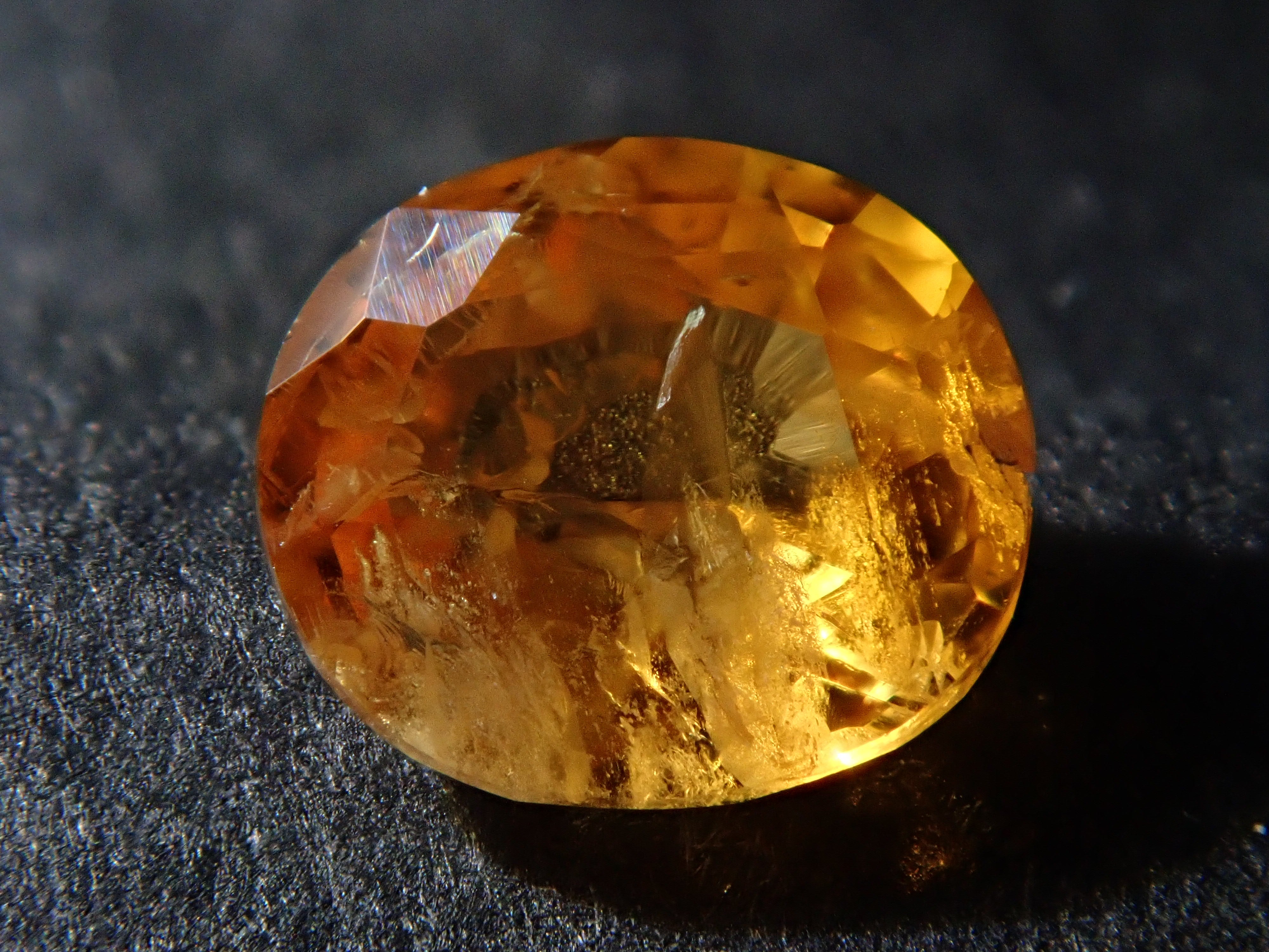 PC151139_a6c6c97c-53ff-4349-